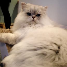 Paint me like one of your french girls... Paint me like one of your french girls...