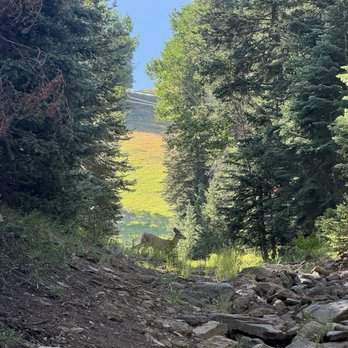 Humphrey's Trail - Hiking Near Me - Flagstaff, Arizona