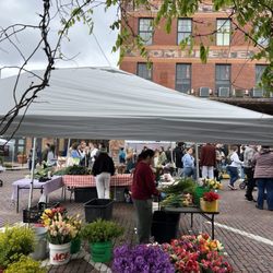 Omaha Farmers Market - Old Market - Flowers!