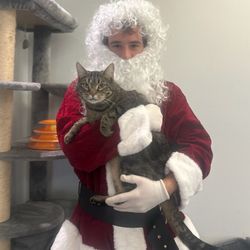 PetSuites Greenwood - Lando got a visit from Santa at PetSuites for being a good boy!
