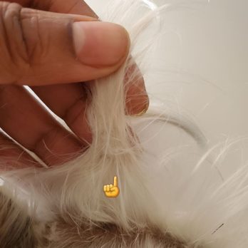 Sun's Pet Grooming - Knots left from the rubberband ponytail. - Pet Groomers Near Me - Rancho Palos Verdes, California Sun's Pet Grooming - Knots left from the rubberband ponytail. - Pet Groomers Near Me - Rancho Palos Verdes, California