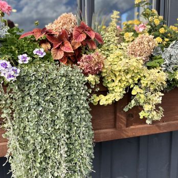 Laurentide Beer Company - a variety of flowers in a window box - Breweries Near Me - Penn Yan, New York Laurentide Beer Company - a variety of flowers in a window box - Breweries Near Me - Penn Yan, New York