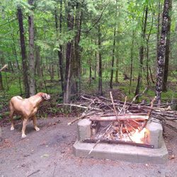 Paradox Lake Campground - He's certain there's vermin about