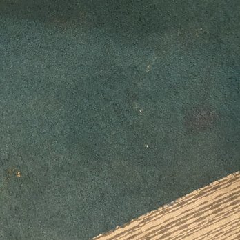 Peak 16 - Dog urine - Apartments Near Me - Phoenix, Arizona