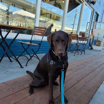 Cafe Smitten - Dog friendly patio with lots of space - Coffee & Tea Near Me - Bakersfield, California