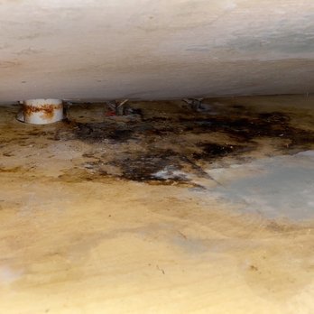American Homes 4 rent - Underneath kitchen sink. Past work orders have been closed and marked completed. - Property Management Near Me - Indianapolis, Indiana