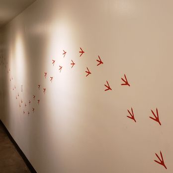 CHiKN - Restroom wall with chicken feet - Chicken Shop Near Me - Pittsburgh, Pennsylvania