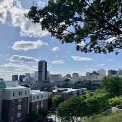 The view