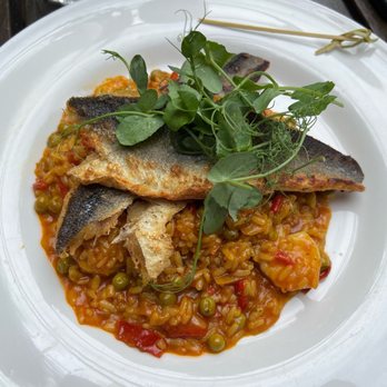 The Engineer - The pan-fried sea bass and paella. - Pubs Near Me - London, XGL