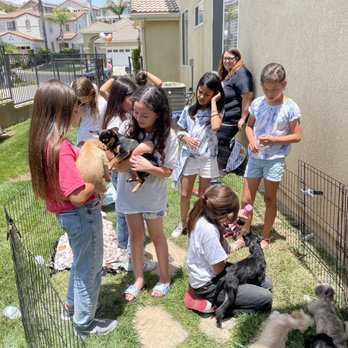 Pups Without Borders - Pet Adoption Near Me