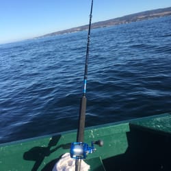 Seeker Rod Company - This is the first Seeker Rod I bought Love it. It is the BSC 7' Classic Series
