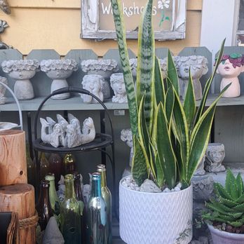 Dragonfly Shops and Gardens - Jewelry Near Me - Orange, California