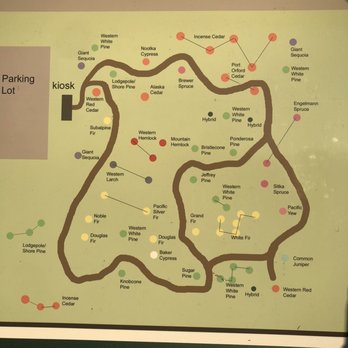 Ronald Bog Park - Map of trees - Parks Near Me - Shoreline, Washington Ronald Bog Park - Map of trees - Parks Near Me - Shoreline, Washington