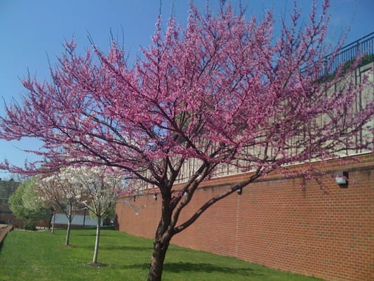 Munsey Memorial United Methodist Church