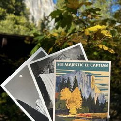 US Post Office - Sending postcards to my fave people.