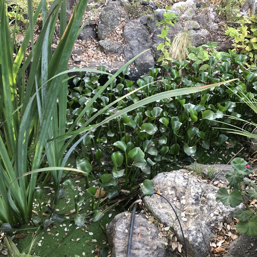 Corkscrew Cafe - Garden - American Near Me - Carmel Valley, California Corkscrew Cafe - Garden - American Near Me - Carmel Valley, California
