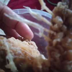 Bush's Chicken - Disgusting!!