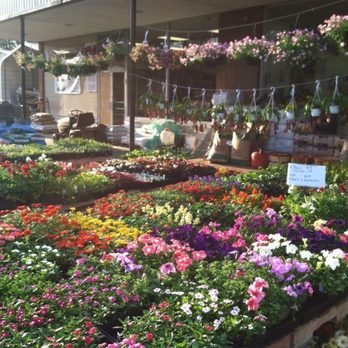 Main St Lawn Garden & Hardware - Main Street Lawn and Garden Shop in Rural Hall, NC - Home & Garden Near Me - Rural Hall, North Carolina Main St Lawn Garden & Hardware - Main Street Lawn and Garden Shop in Rural Hall, NC - Home & Garden Near Me - Rural Hall, North Carolina