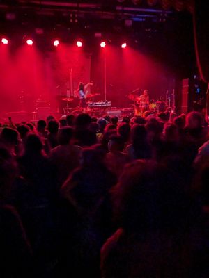 Big Night Live by null