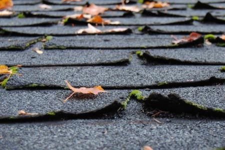 Slide of Paps Constructation Services