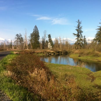 Spencer Island Regional Park - Parks Near Me - Everett, Washington Spencer Island Regional Park - Parks Near Me - Everett, Washington