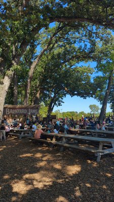 County Line Orchard by null