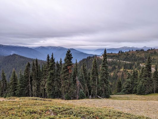 Hurricane Ridge by null