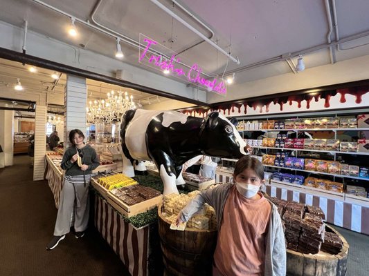 Trish's Chocolate by null