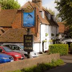 Dolphin Inn
