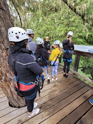 Ziptrek Ecotours by null