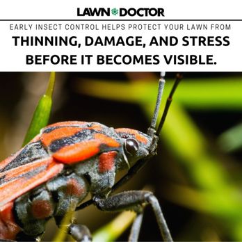 Lawn Doctor - Book your free lawn evaluation now! - Pest Control Near Me - Clermont, Florida Lawn Doctor - Book your free lawn evaluation now! - Pest Control Near Me - Clermont, Florida