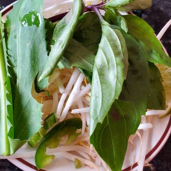 Little Minh's - Bean sprouts, basil leaves and a piece of unknown leaf - Vietnamese Near Me - Burnaby, British Columbia Little Minh's - Bean sprouts, basil leaves and a piece of unknown leaf - Vietnamese Near Me - Burnaby, British Columbia