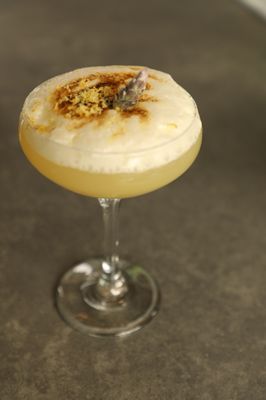 Oak Laguna Beach by null