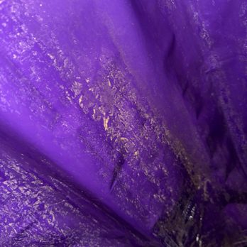 Planet Fitness - More angles of shower stall 2s curtain. WHAT IS THIS???? - Gyms Near Me - Vista, California Planet Fitness - More angles of shower stall 2s curtain. WHAT IS THIS???? - Gyms Near Me - Vista, California