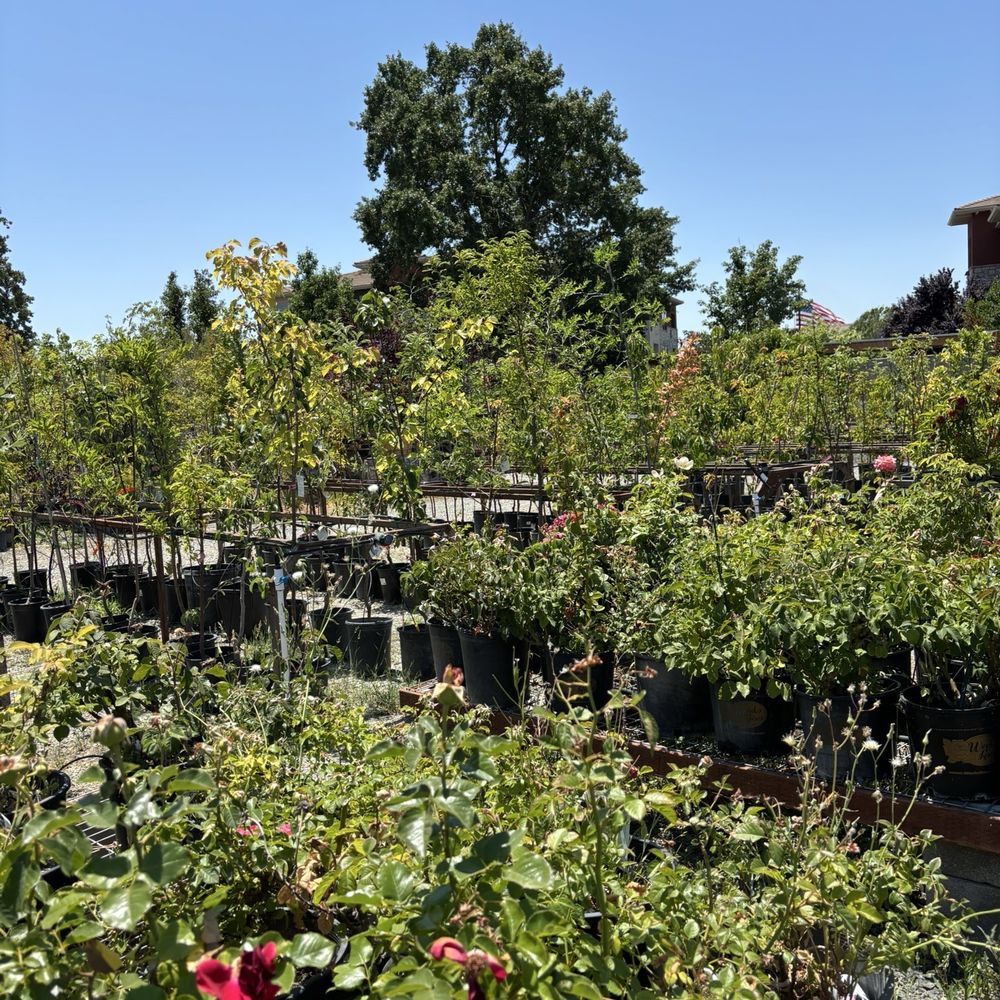 THE BEST 10 NURSERIES & GARDENING in SOLANO COUNTY, CA - Updated 2026 -  Hours - Yelp