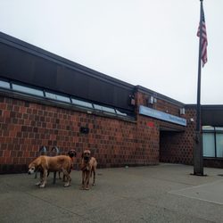 Queens Public Library - North Forest Park - Opens at 12 noon on Thursdays
