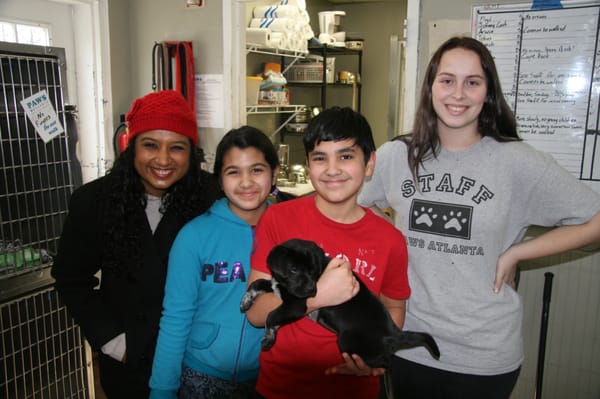 PAWS Atlanta by null