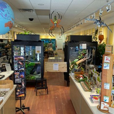 Santa Fe Reptile and Bug Museum by null