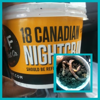Walmart Supercenter - Juicy worms.. $2 - Department Stores Near Me - Pearland, Texas