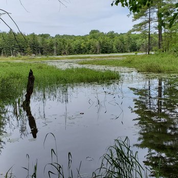 Killarney Provincial Park - Cranberry Bog - Parks Near Me - Killarney, Ontario