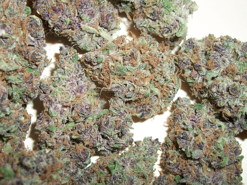 SKYHIGHMEDS BIG BEAR Updated August 2024 54 Photos & 29 Reviews