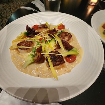 OLIVIA - Scallops with risotto - Italian Near Me - Tampa, Florida OLIVIA - Scallops with risotto - Italian Near Me - Tampa, Florida