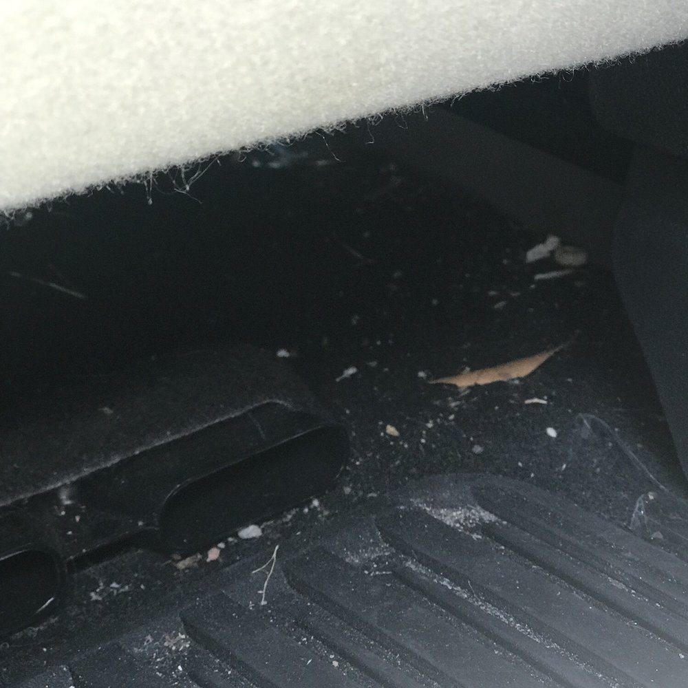 Astoria Auto Detailing Center - 3 kids car mess. - Auto Detailing Near Me - Astoria, New York Astoria Auto Detailing Center - 3 kids car mess. - Auto Detailing Near Me - Astoria, New York