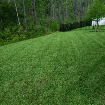 Yard Genie - Quality cut - Lawn Services Near Me Yard Genie - Quality cut - Lawn Services Near Me