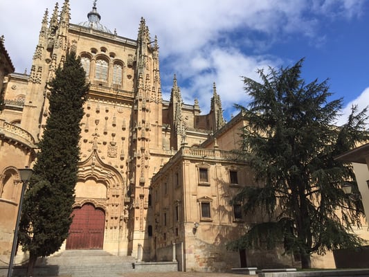 Catedral Vieja de Santa María de la Sede de Salamanca by null