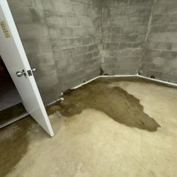 Perfect Dry Basement
