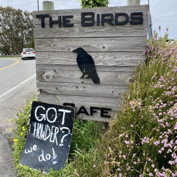 The Birds Cafe - 04.03.21 lunch here - Seafood Near Me - Bodega Bay, California