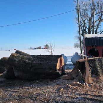 Shepherds Lawn and Tree Service - Tree Services Near Me Shepherds Lawn and Tree Service - Tree Services Near Me