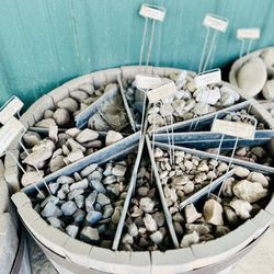 Buesching's Peat Moss & Mulch