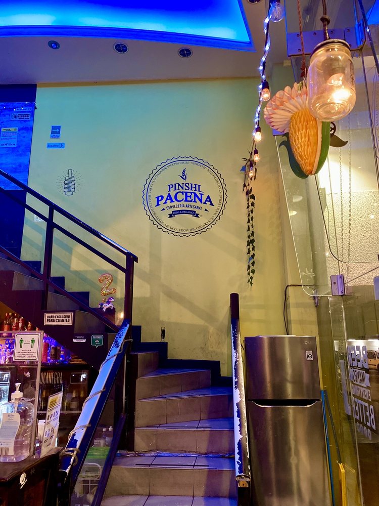 PINSHI PACENA Updated May 2024 Agustin Arriola M. 165, La Paz, Baja